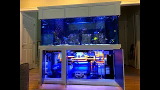 Saltwater Smart Tank -High Tech System!