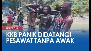KKB Papua Panik, Tempat Persembunyian Didatangi Pesawat Tanpa Awak, Kini Takut Bergerak Siang Hari