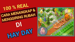 Hay Day | Cara Menangkap dan Menggiring Rubah di Hay Day