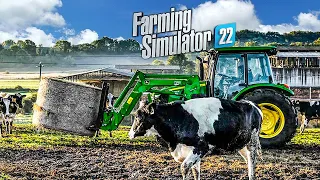 Daily farm routine in a dairy farm | Farming Simulator 22