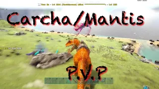 Ark | PvP clips  | BBX Fibercraft