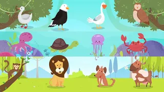 Guess the animals! | Land, Sea, and Air Animals | Fun video about animals on sea land and air