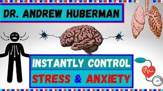 Instantly Control Stress and Anxiety with This Tool | Andrew Huberman