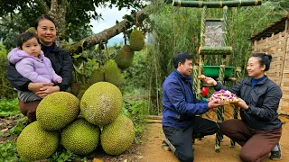 Husband builds shelves, wife picks jackfruit to sell. Enjoy a family meal with jackfruit sticky rice