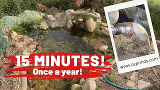 Ecosystem Pond Cleaning| No Need to Drain or Remove Fish