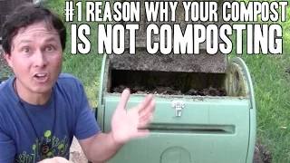 #1 Reason Why Your Compost is Not Composting