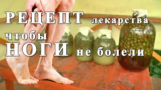 Чтобы НОГИ не болели. Рецепт НАСТОЙКИ из сосновых шишек. Лечит инсульт, простуду, ЧИСТИТ СОСУДЫ.