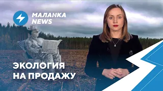 ⚡️Уголовка за эмодзи / Экологическая катастрофа / Налоговая взялась за ИП