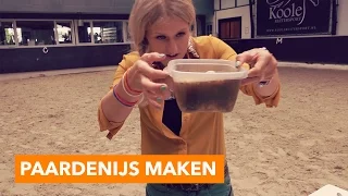 Hoe maak je paardenijs? | PaardenpraatTV