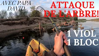 COMBAT BRUTAL AVEC LES SILURES DE LA LOIRE