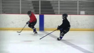 Levesque Ice Hockey Camp