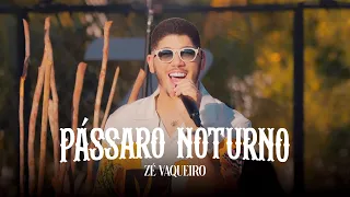 Pássaro Noturno - Zé Vaqueiro