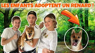 LES ENFANTS SONT FOUS : ILS VEULENT ADOPTER UN RENARD !