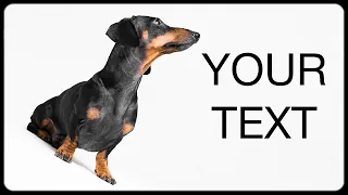 Funny viral dog ads! Cute & funny dachshund dog video!