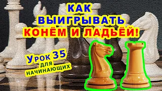 ШАХМАТНЫЙ КОНЬ И ЛАДЬЯ ♖ ШАХМАТЫ ТАКТИКА ♕ УРОКИ ОБУЧЕНИЕ для начинающих онлайн ♔ Правила игры