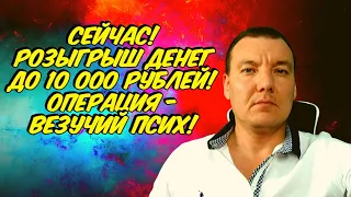 SLOTVIVER Илья| Casino online ✅CASINO-X | JOYCASINO |ГОНКА СТРИМЕРОВ🔴 ПРЯМОЙ ЭФИР! РОЗЫГРЫШ ДЕНЕГ🔥