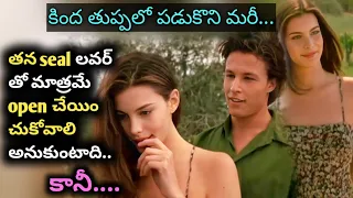 తుప్పలో కింద పడుకొని | stealing beauty hollywood movie explained in telugu | movie playtime telugu