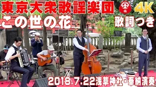 「この世の花」#東京大衆歌謡楽団 （歌詞つき）　2018/7/22浅草神社・奉納演奏【4K】