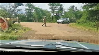 CYCLONE FREDDY IS HERE! Early Rains As Cyclone Freddy Hits The Kruger National Park! South Africa!