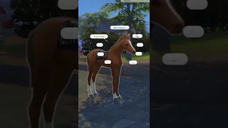 Sims 4 Horse Ranch Glitch #shorts #raeraccoon #sims4