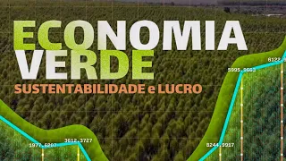 Documentário | Economia Verde - Sustentabilidade e Lucro | 10/12/2023