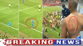 Nice 1 0 Marseille Fan footage from the stands shows Dimitri Payet throwing two bottles