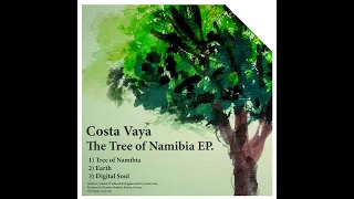 Costa Vaya - Digital Soul