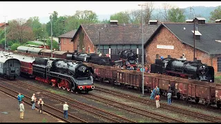 Großohren kommen aus Dresden ins DDM am 25.5.1991......