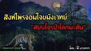 สิงห์ไพรจอมใจขมังเวทย์..ตอน สยบโจรป่าโคกมะดัน