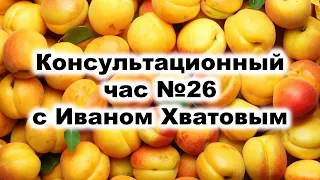 Консультационный час 26 (22 ноября 2023)