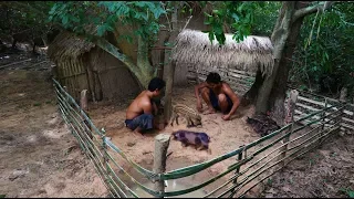 Help Wild Pig In Hole And Make House For It