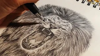 "The King of the Jungle" | Time-Lapse Drawing