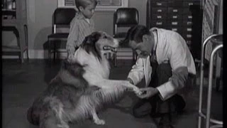 Lassie - Episode 125 - "Inoculation" - Season 4, #22 (2/02/1958)