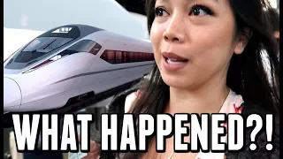 WHAT HAPPENED IN OUR BULLET TRAIN?! -  ItsJudysLife Vlogs