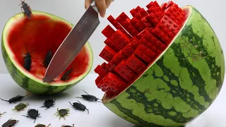 Stop Motion Cooking Making LEGO IRL Recipe From Watermelon Unusual Hacks 4K | Cuckoo