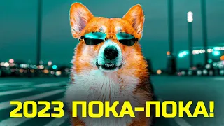 МОЙ 2023. ПРОВАЛЫ vs УСПЕХИ! Корги Кекс Говорящая собака