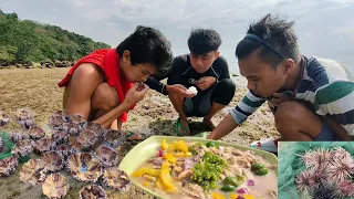 Grabi ang sarap, sea urchin ( tuyom) at sea grapes (latu)