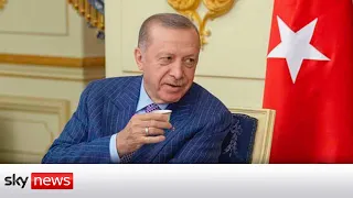 Erdoğan says Turkey 'not favourable' of Finland and Sweden joining NATO