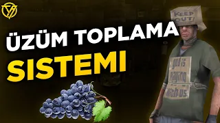 Tooblek Roleplay | Üzüm Toplama Mesleği