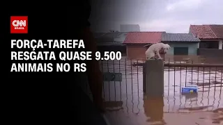 Força-tarefa resgata quase 9.500 animais no RS | CNN NOVO DIA