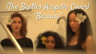 The Beatles acapella cover "Because"