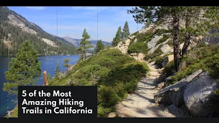 Top 5 Most Amazing Hiking Trails in California