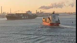 SHIPSPOTTING 2021//CONTAINERSHIP ESPERANCE AND CONTAINERSHIP MSC AT ROTTERDAM //FEBRUARY 2021