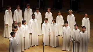 [Libera] The Moon Represents My Heart - 10.27 Shanghai Symphony Orchestra Hall