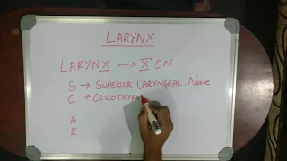 MEDICAL MNEMONIC POCKET-LARYNX MADE EASY