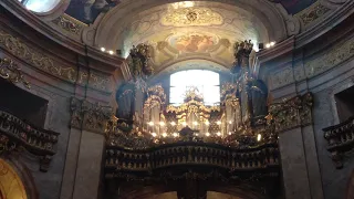 Pipe Organ Concert in St. Stephen's Cathedral  - Vienna. Austria