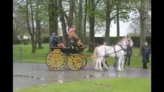 The London Harness Horse Parade 2012
