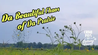 Da Beautiful Chaos of Da Prairie (KILL YOUR LAWN)