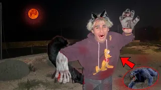 VINCI SI TRASFORMA IN UN LUPO MANNARO DI NOTTE!!! 😰 *c’è la luna piena*