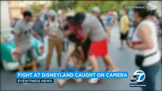 Violent brawl at Disneyland's Toontown caught on video I ABC7